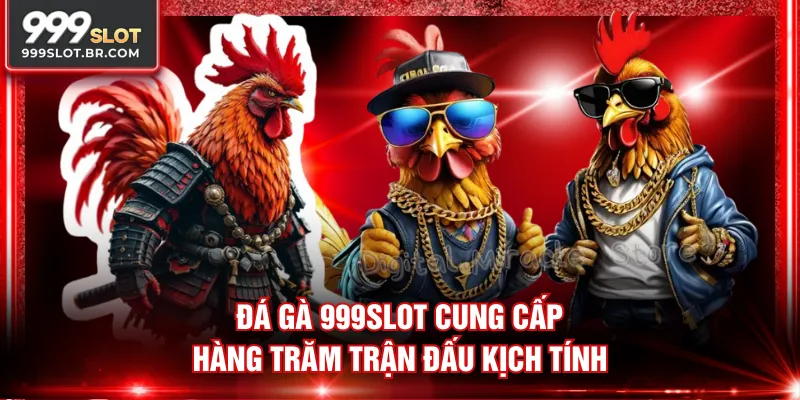 Đá Gà 999SLOT cung cấp hàng trăm trận đấu kịch tính